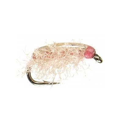 Buff Poxyback Sowbug 16