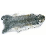 Gray Squirrel Skin