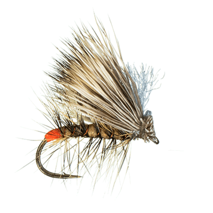 Tan Hot Spot Elk Hair Caddis 18 |  