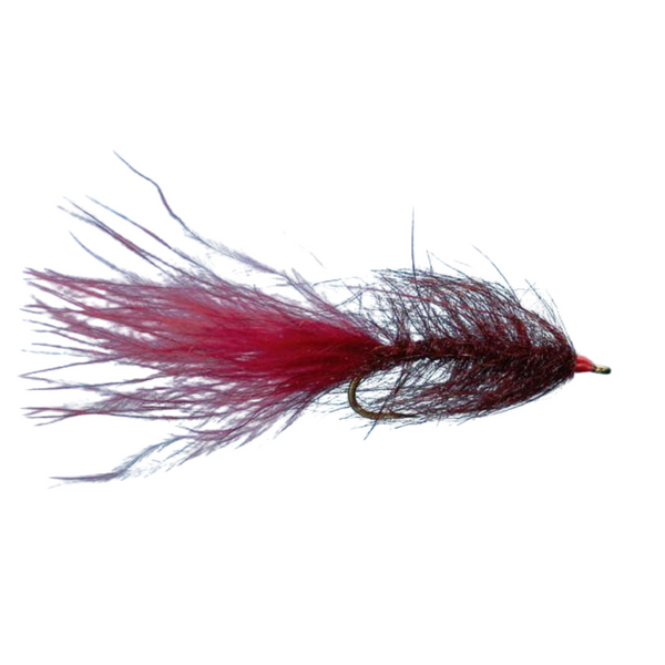 Hale Bopp Leech - Wine - Size 10