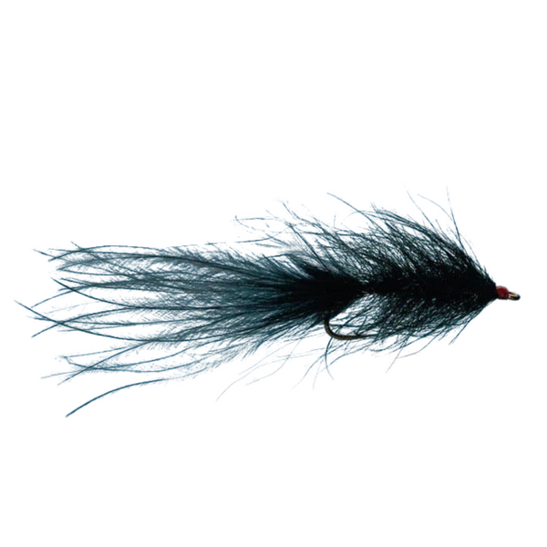 Hale Bopp Leech - Black - Size 10