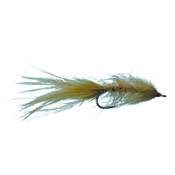 Hale Bopp Leech - Olive - Size 10