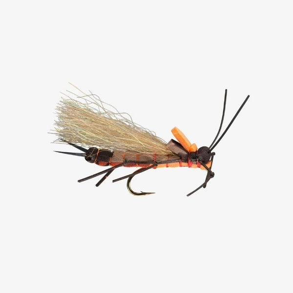 RIO's Juicy Stone, Salmonfly 6 |  