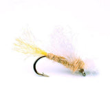 Tan Iris Caddis - 17 |  