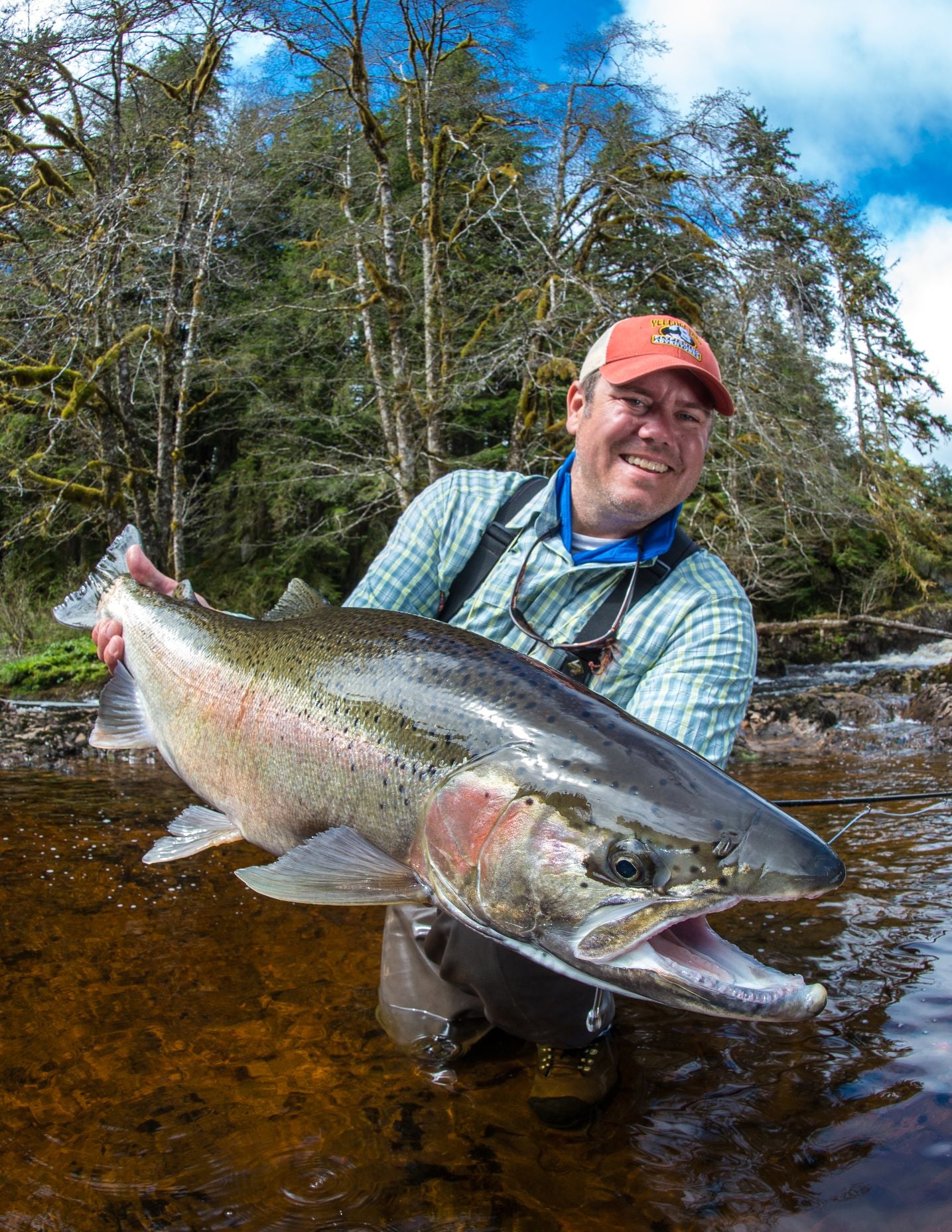 Fly Fishing for Large Trout in Montana